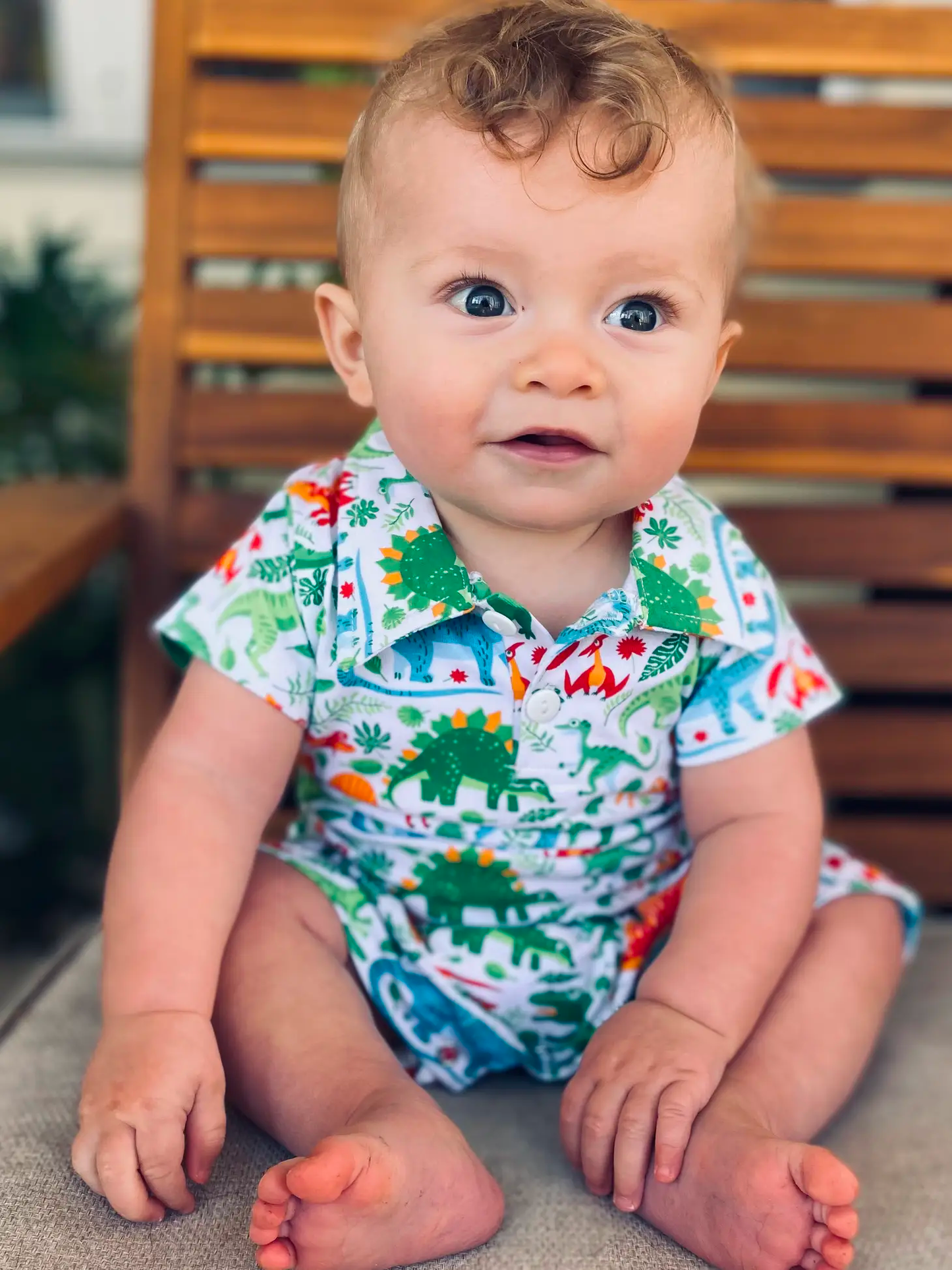 Dinosaur Romper
